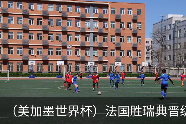 （美加墨世界杯）法国胜瑞典晋级16强 姆巴佩“双响”创纪录